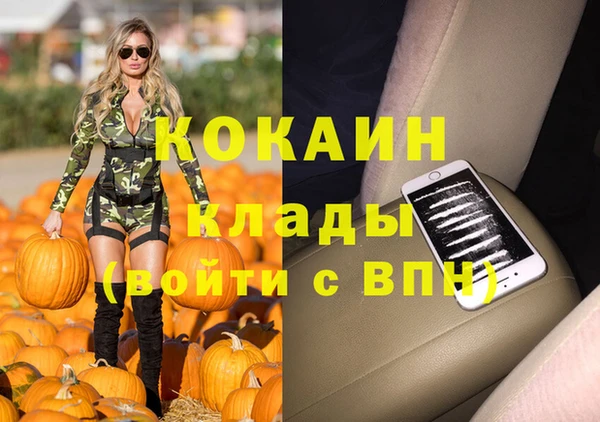 дмт Няндома