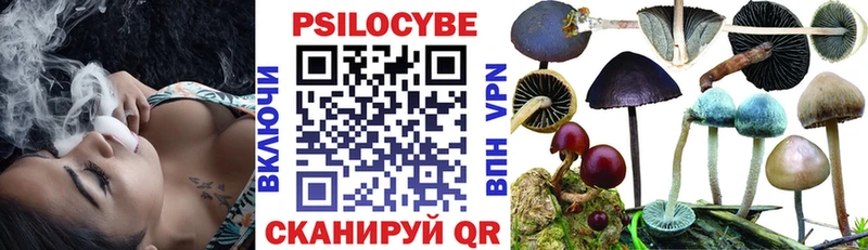 Псилоцибиновые грибы прущие грибы  Ликино-Дулёво 